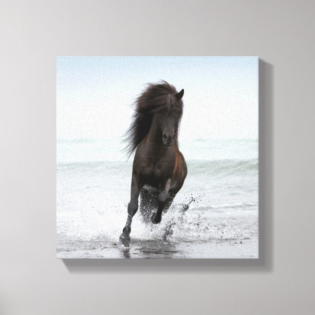 Stallion Running On Beach | North Atlantic Canvas Print (Front)