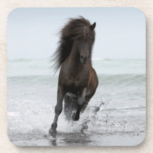 Stallion Running On Beach North Atlantic Coaster