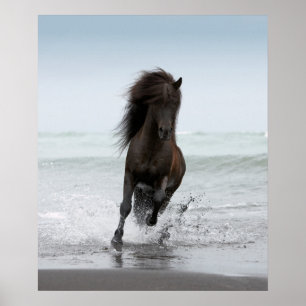 Stallion Running On Beach   North Atlantic Poster