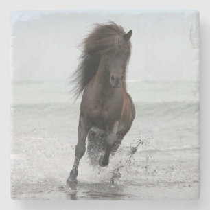 Stallion Running On Beach   North Atlantic Stone Coaster