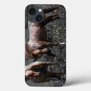 Stallion Spar iPhone 13 Case