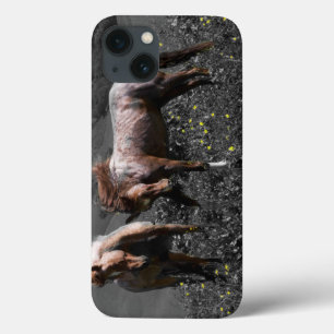 Stallion Spar iPhone 13 Case