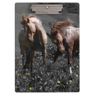 Stallion Spar Clipboard