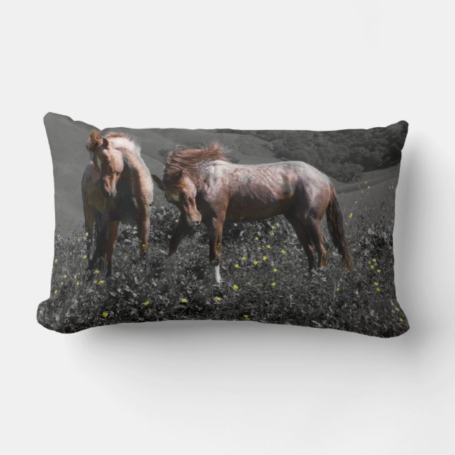 Stallion Spar Lumbar Cushion (Front)