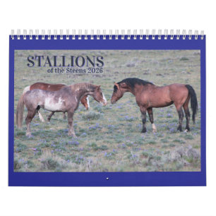 "Stallions" MustangWild 2026 Calendar