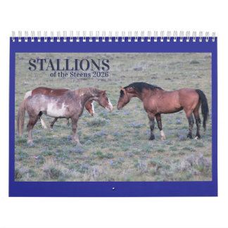 "Stallions" MustangWild 2026 Calendar