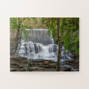 Stametz Dam 11x14 easy Jigsaw Puzzle