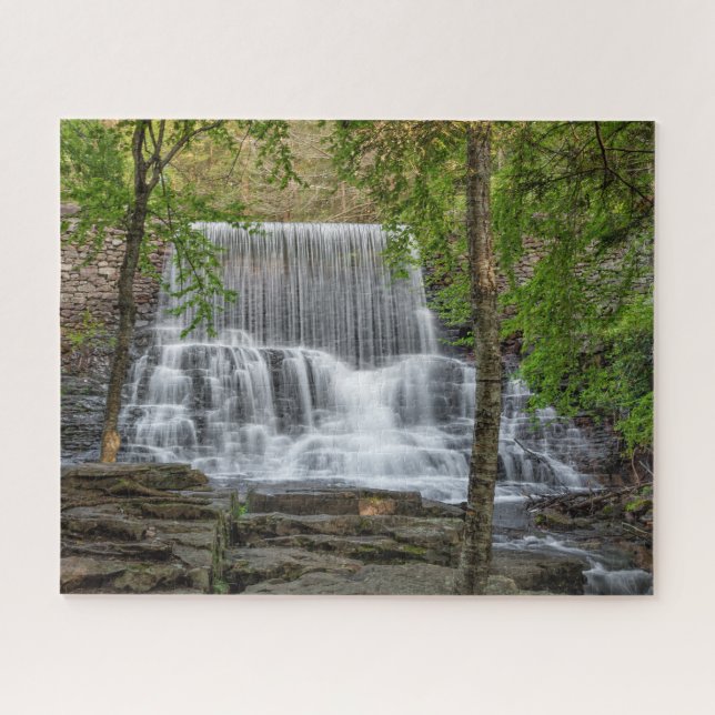 Stametz Dam 16x20 hard Jigsaw Puzzle (Horizontal)