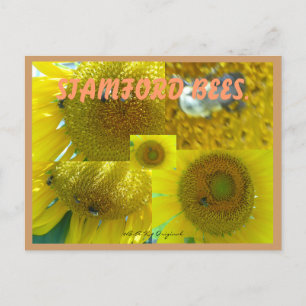 STAMFORD  CT BEES POSTCARD