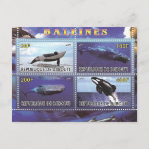 stamps whales dolphins postcard