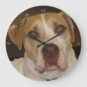 Stan Wall Clock