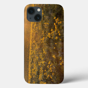 Stand Of Arrowleaf Balsamroot Wildflowers iPhone 13 Case