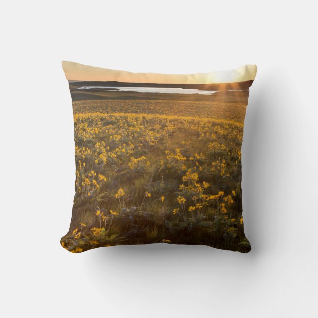 Stand Of Arrowleaf Balsamroot Wildflowers Cushion (Front)