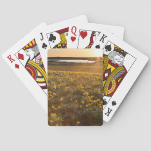 Stand Of Arrowleaf Balsamroot Wildflowers Playing Cards