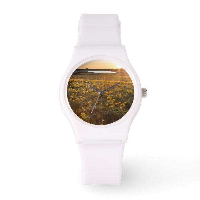 Stand Of Arrowleaf Balsamroot Wildflowers Watch (Front)