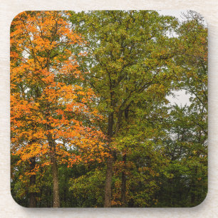 Stand Out Coaster