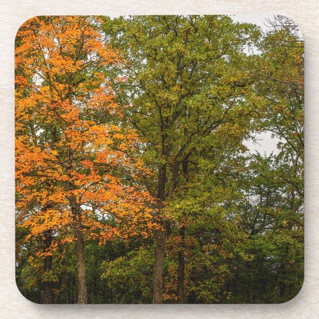 Stand Out Coaster (Front)