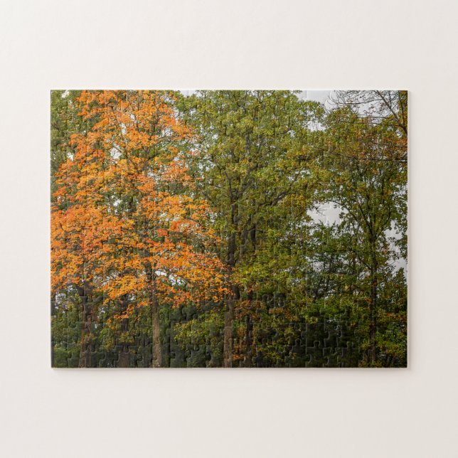Stand Out Jigsaw Puzzle (Horizontal)