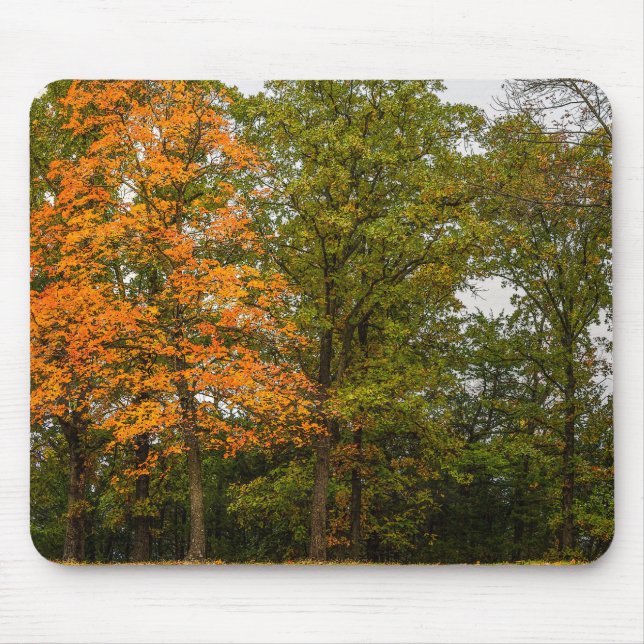 Stand Out Mouse Pad (Front)