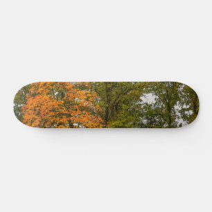 Stand Out Skateboard