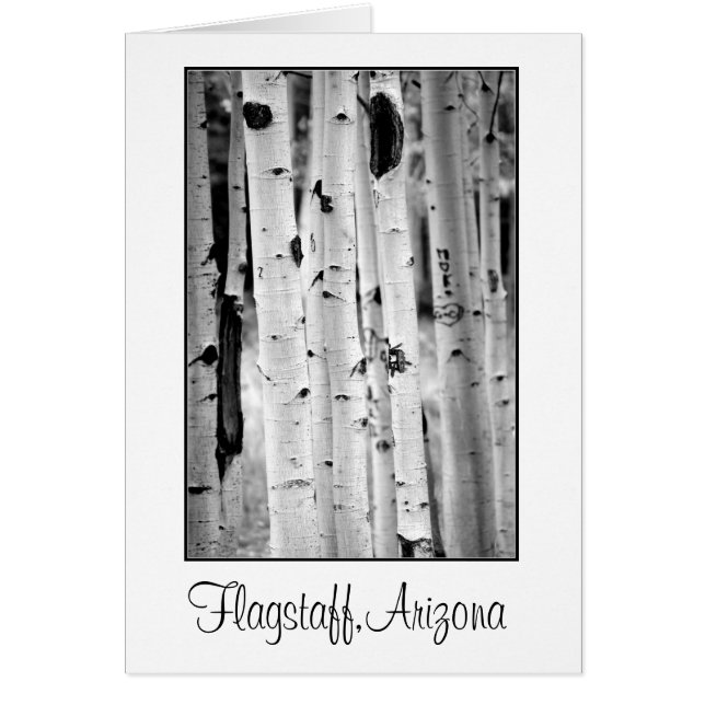 Stand tall Aspen's Flagstaff (Front)