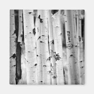 stand tall Aspen's Magnet