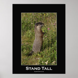 Stand Tall Motivational Poster