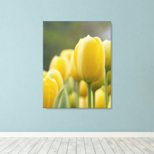 Stand Up Tulip Canvas Print