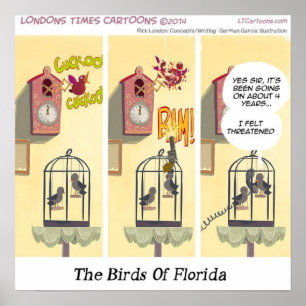 Stand Your Ground Funny Bird With Gun Poster