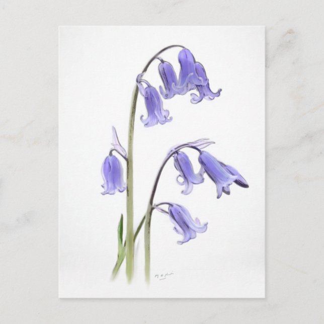 Standard, 12.7 cm x 17.8 cm Folded Greeting Card (Front)