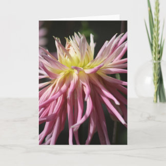 Standard, 12.7 cm x 17.8 cm Folded Greeting Card