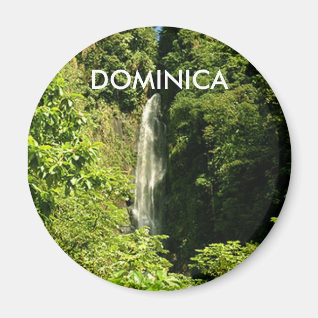 Standard, 2¼ Inch Round Magnet (Front)