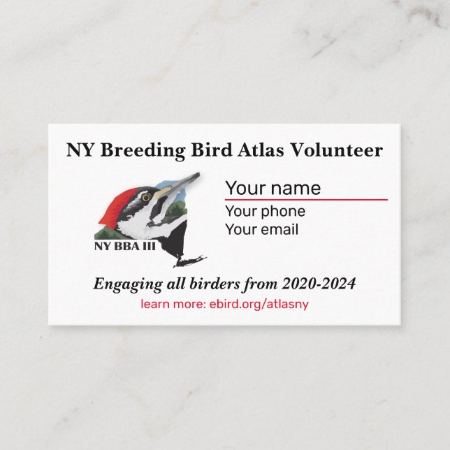 Standard, 3.5" x 2.0" Business Card (Front)