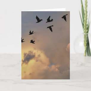 Standard, 5" x 7" Folded Greeting Card