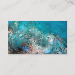 Standard Business Card 3.5" x 2.0"