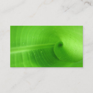 Standard Business Card 3.5" x 2.0"