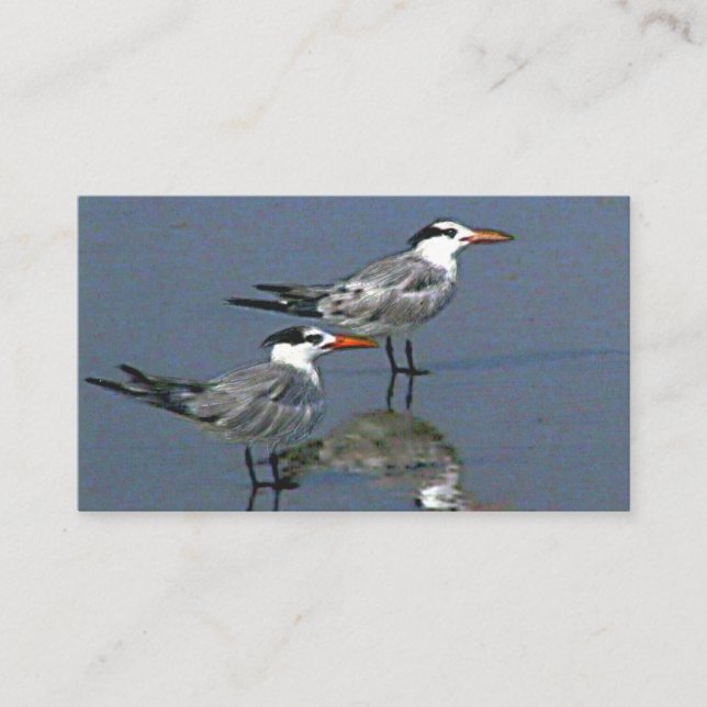 Standard, Business Card See You at the Beach jGibn (Front)