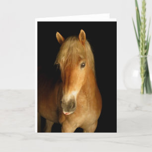 Standard Card