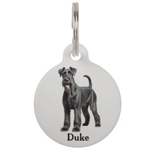 Standard (Giant) Schnauzer Personalise Pet Tag