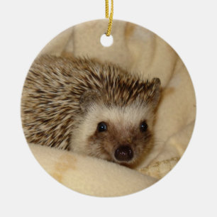 Standard hedgehog face ornament