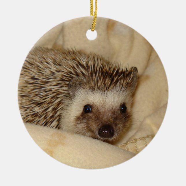 Standard hedgehog face ornament (Front)