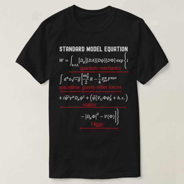 Standard Model Equation Physics Math Science Teach T-Shirt (Design Front)