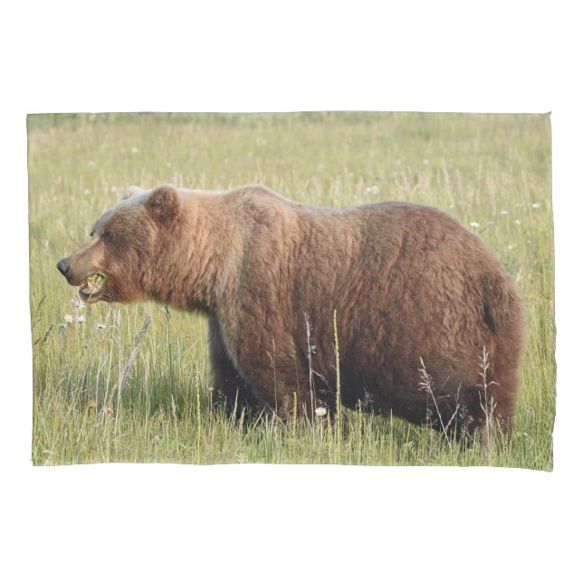Standard Pillowcase of grizzly bear (Front)