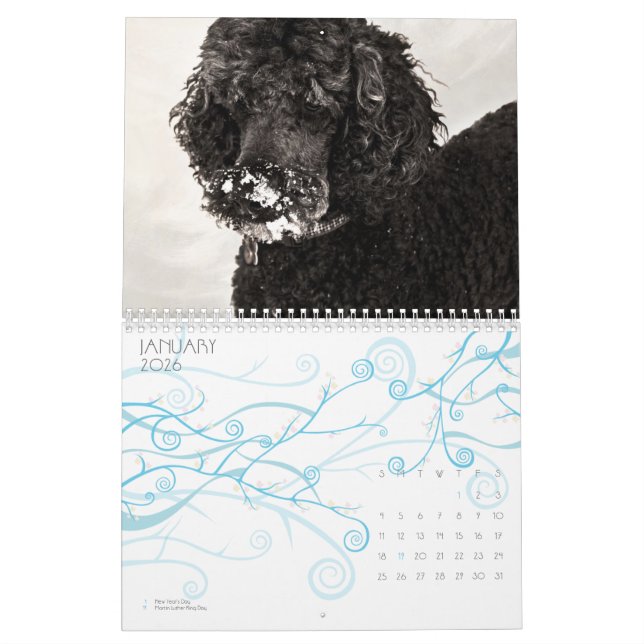 Standard Poodle 2010 Calendar (Jan 2026)