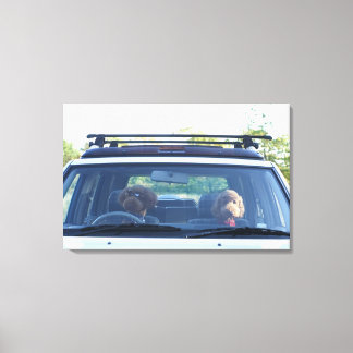 standard poodle 4 canvas print
