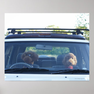 standard poodle 4 poster