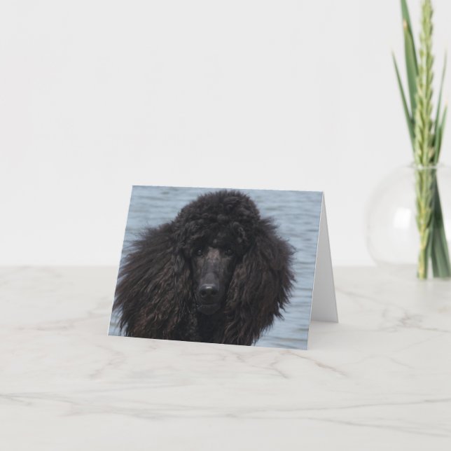 Standard Poodle at the Beach Card (Front)