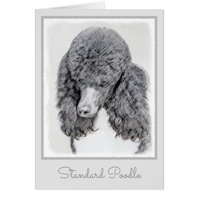 Standard Poodle Black Parti Painting - Dog Art (Front)