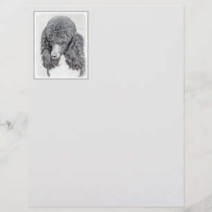 Standard Poodle Black Parti Painting - Dog Art