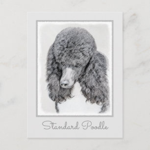 Standard Poodle Black Parti Painting - Dog Art Postcard